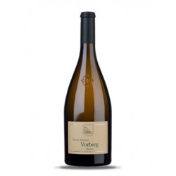 Vorberg Riserva Pinot Bianco Cantina Terlano