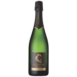 Spumante Extra Brut Metodo Classico di Verdicchio Collestefano 2015