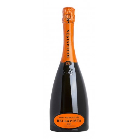 Franciacorta Brut Alma Bellavista