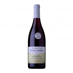 Sancerre Rouge Roger et Didier Raimbault