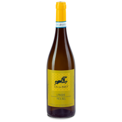 Langhe Riesling Ca' del Baio