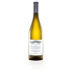 Vermentino di Sardegna Camminera Audarya