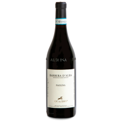 Barbera d’Alba Paolina Ca' del Baio