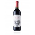 Salento Negroamaro Versante Agricole Vallone
