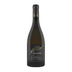 Sancerre Blanc Montee St Romble Raimbault