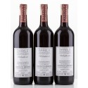Verticale Barolo Paiagallo 2019, 2020, 2021 Canonica