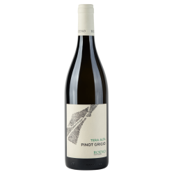 Pinot Grigio Valdadige Terra Alta Roeno