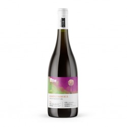 Gewurztraminer Alto Adige Aichholz
