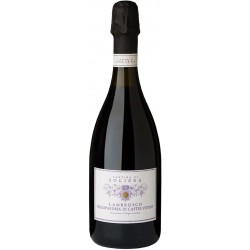 Lambrusco Grasparossa di Castelvetro Cantina Soliera