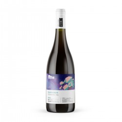 Sauvignon Alto Adige Aichholz
