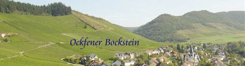 Dr. Fischer Bocksteinhof