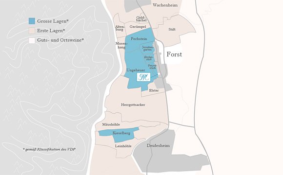 Cantina Georg Mosbacher