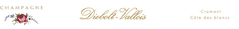Diebolt-Vallois