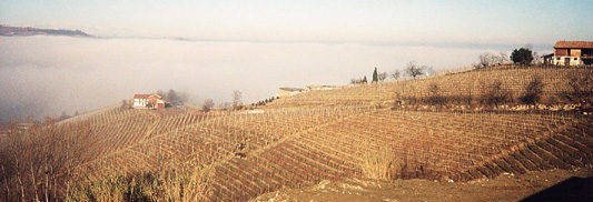 Cantina Giuseppe Mascarello