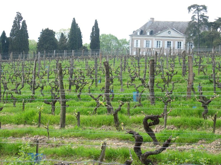 Nicolas Joly, Coulée de Serrant