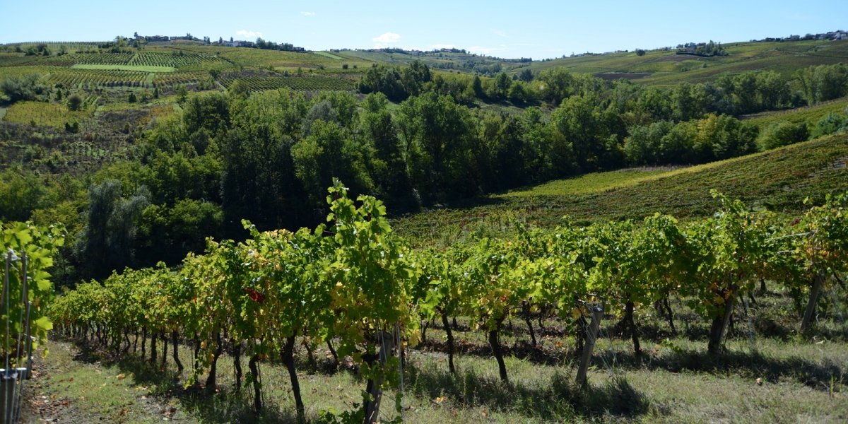 Cantina Bertè e Cordini