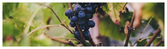 Cantina Le Rocche Malatestiane