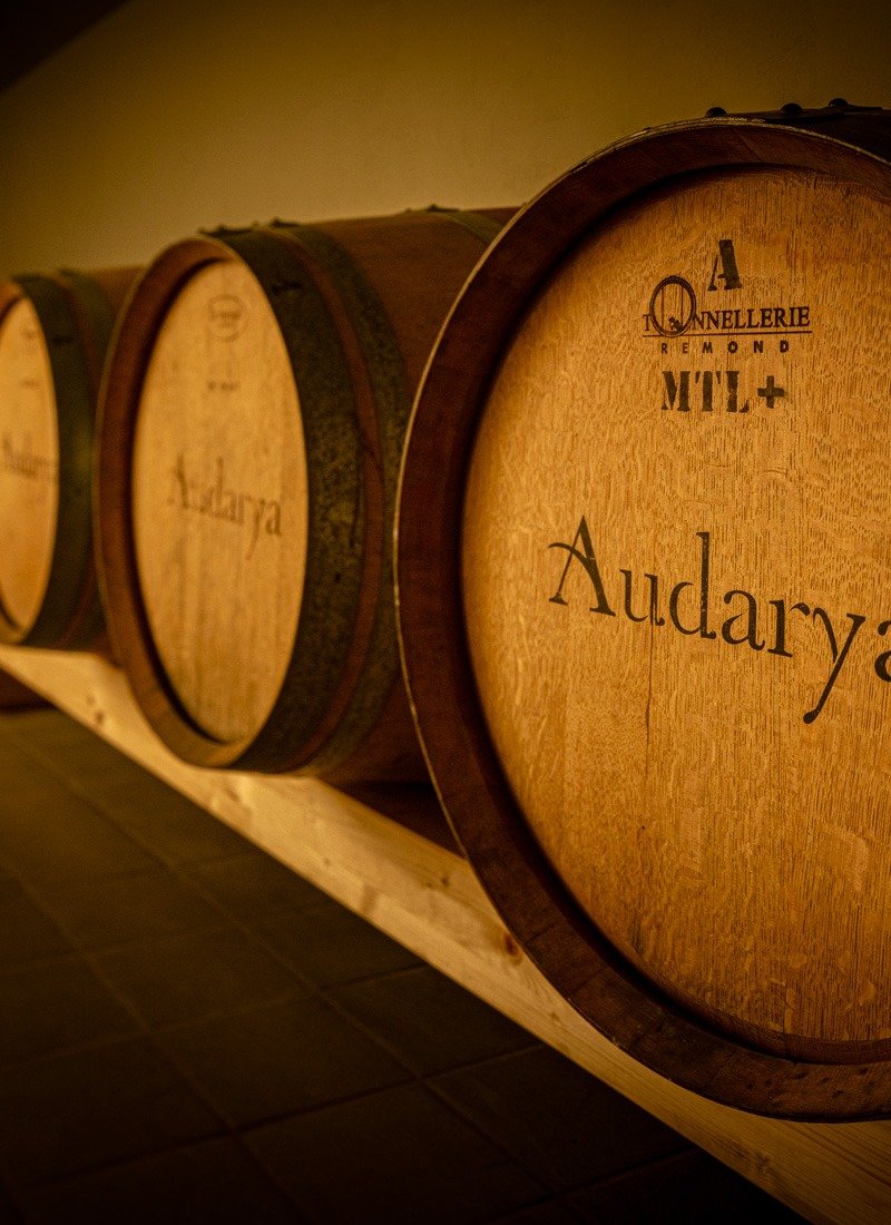 Cantina Audarya